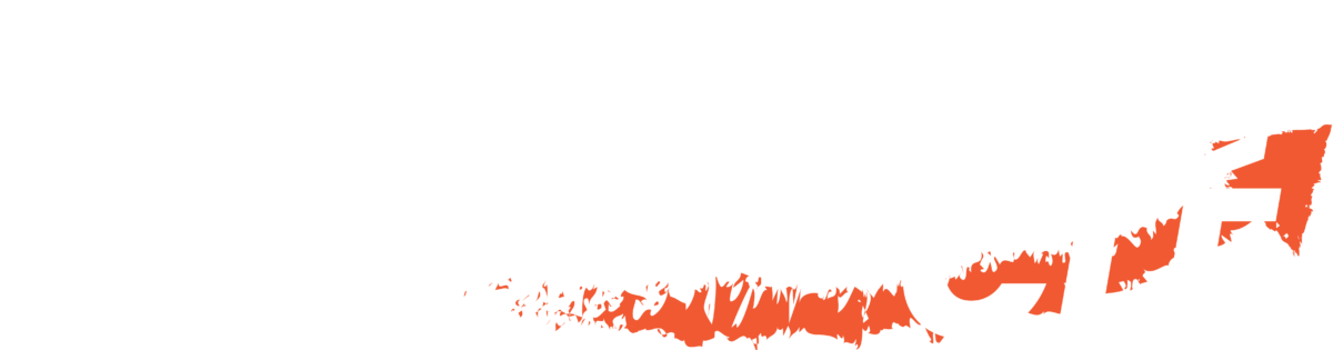 Formation en ligne, Yulmaz Marketing Algérie